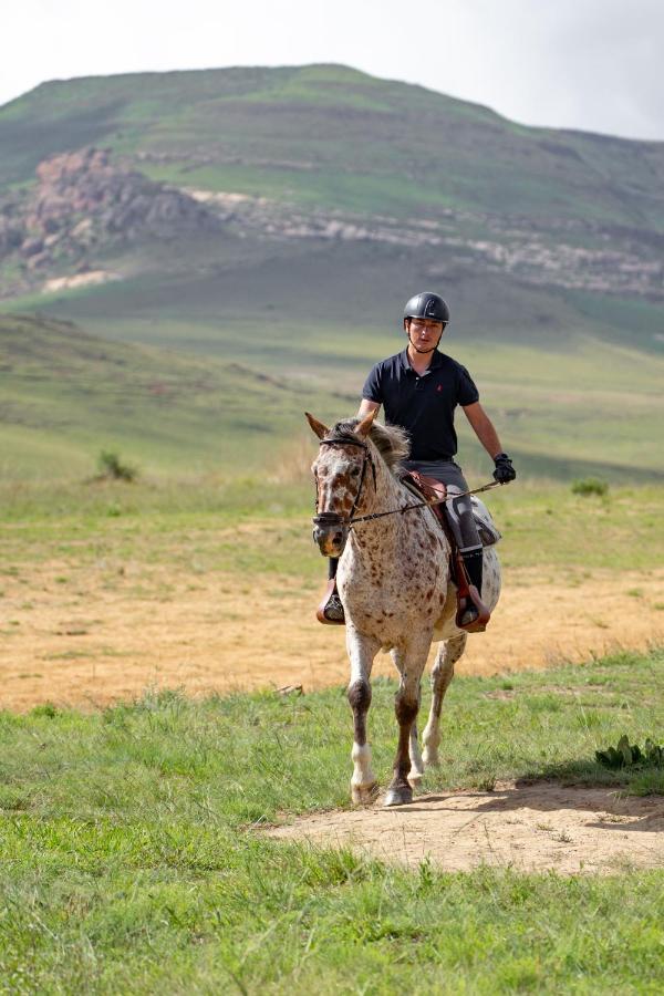 Wild Horses alojamiento Harrismith Exterior foto