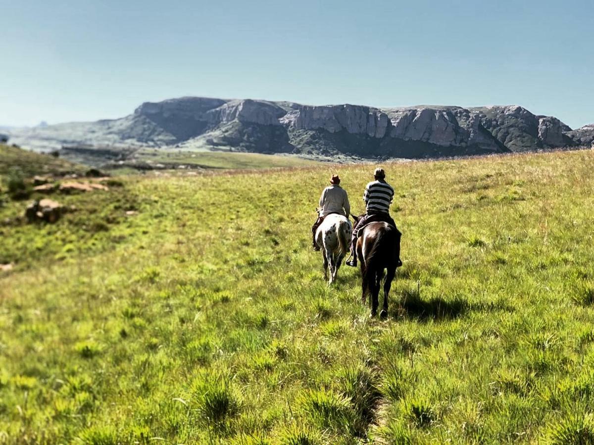 Wild Horses alojamiento Harrismith Exterior foto
